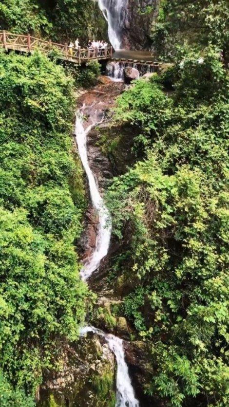 小萌新的甜美装扮