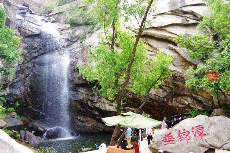 细胞分裂6